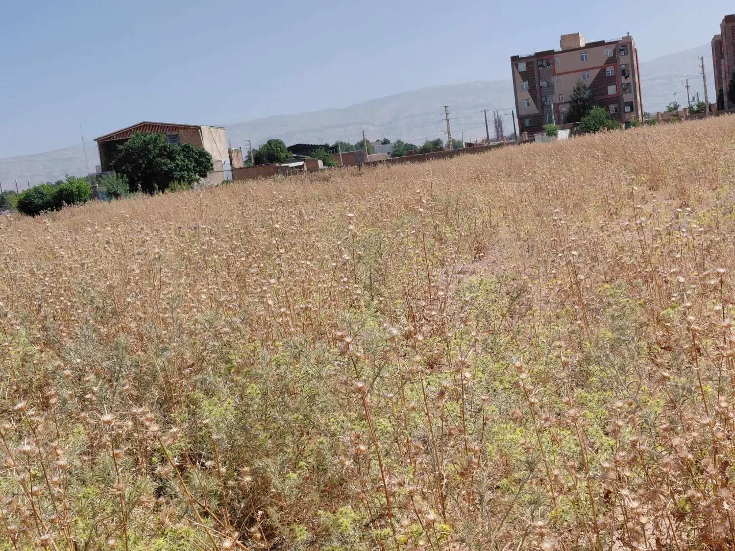 فروش زمین
