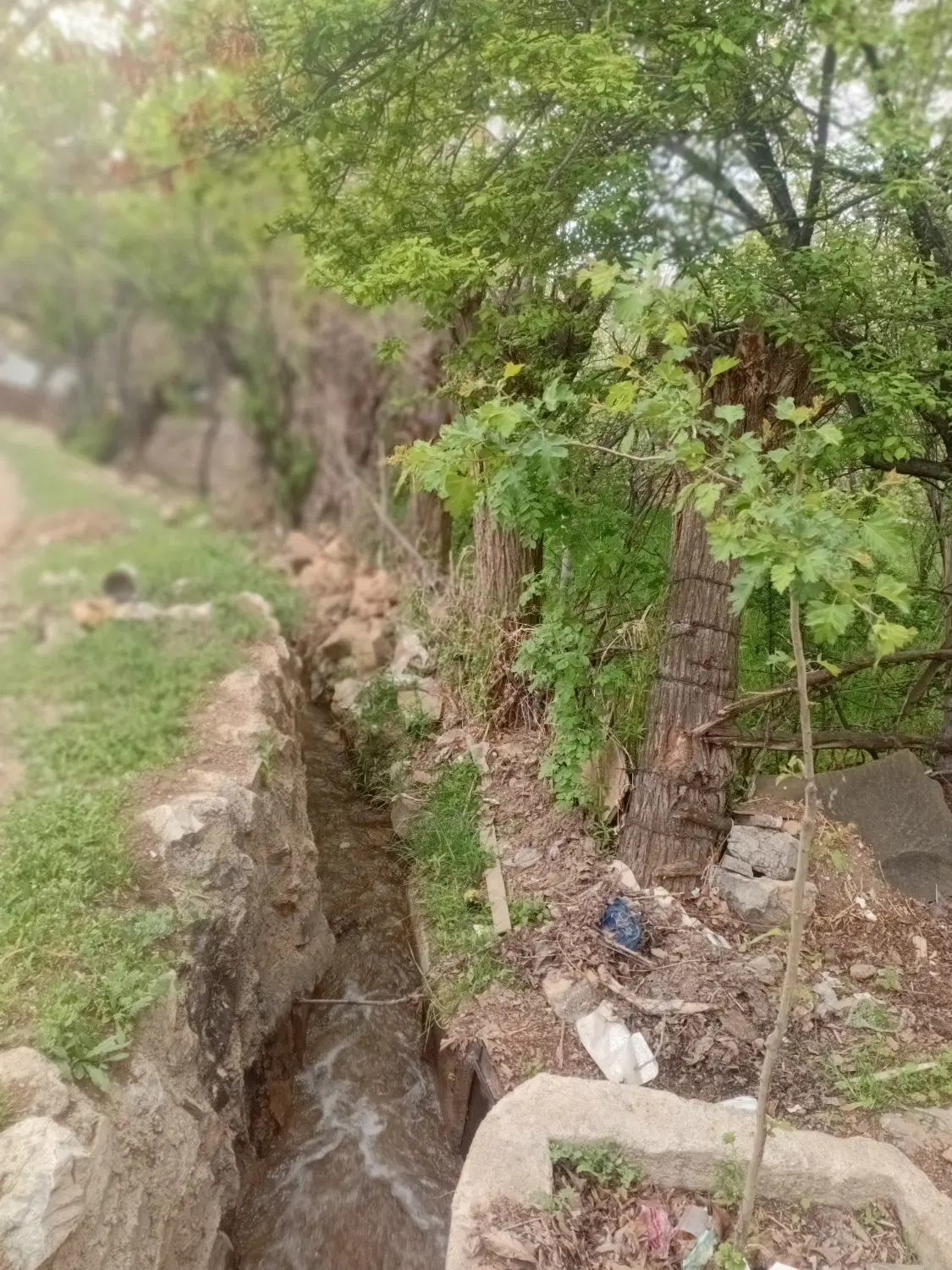 ویلا باغ اجاره ای
