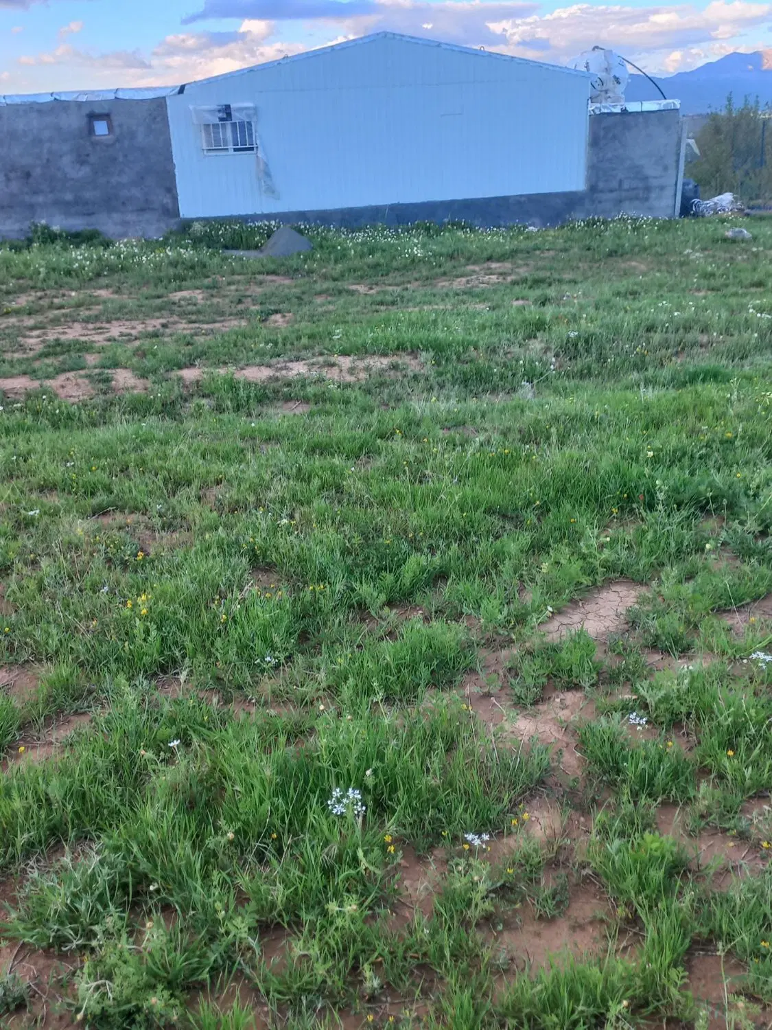 زمین کشاورزی