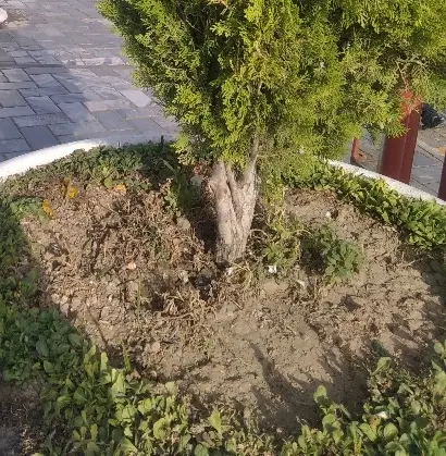 زمین فروشی