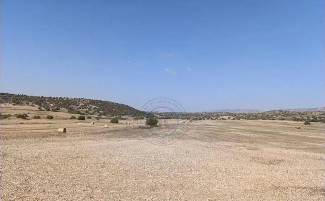 فروش زمین دزک جنب پلیس راه بندرعباس سیرجان