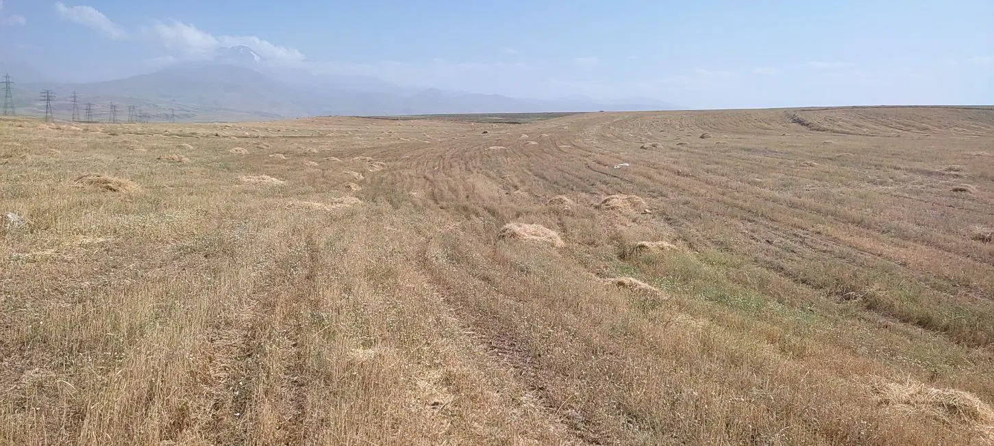 فروش زمین با مجوز مرغداری