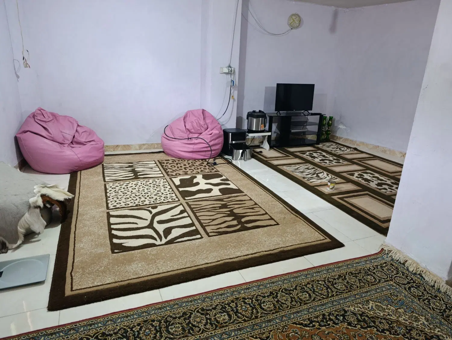 سوییت ۶۰ متری با وسایل