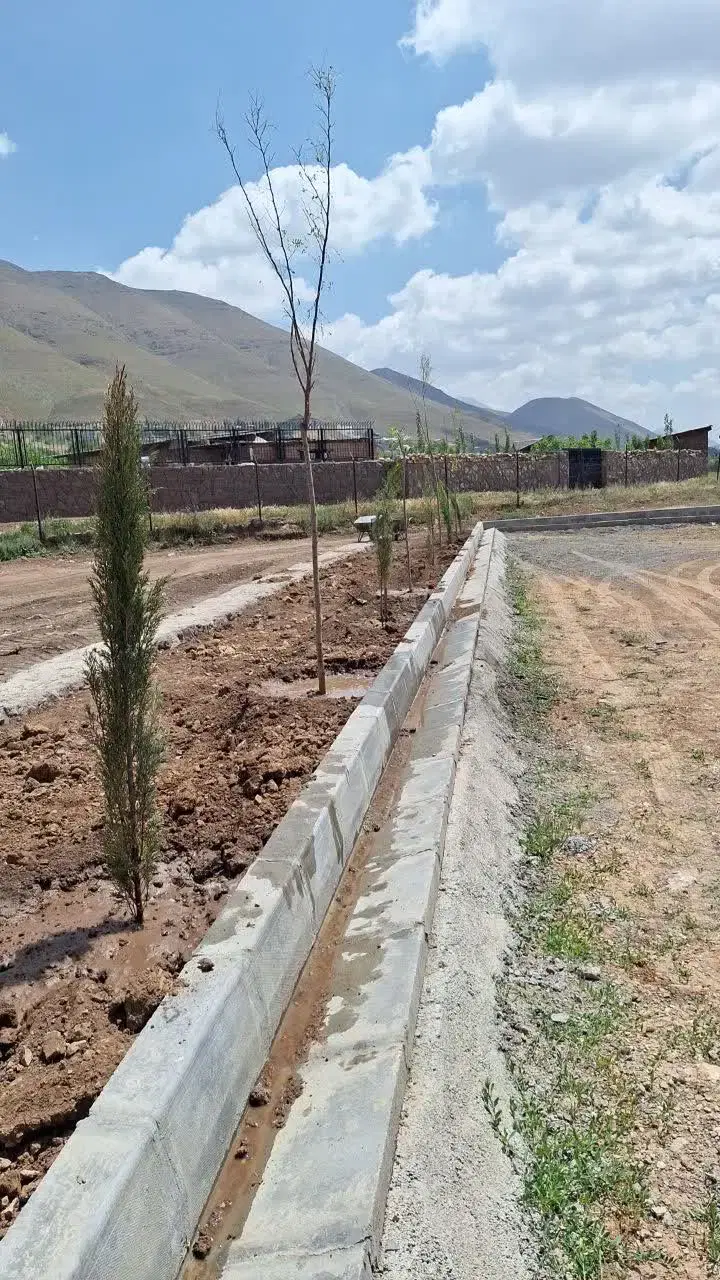 زمین مسکونی دشت مشا
