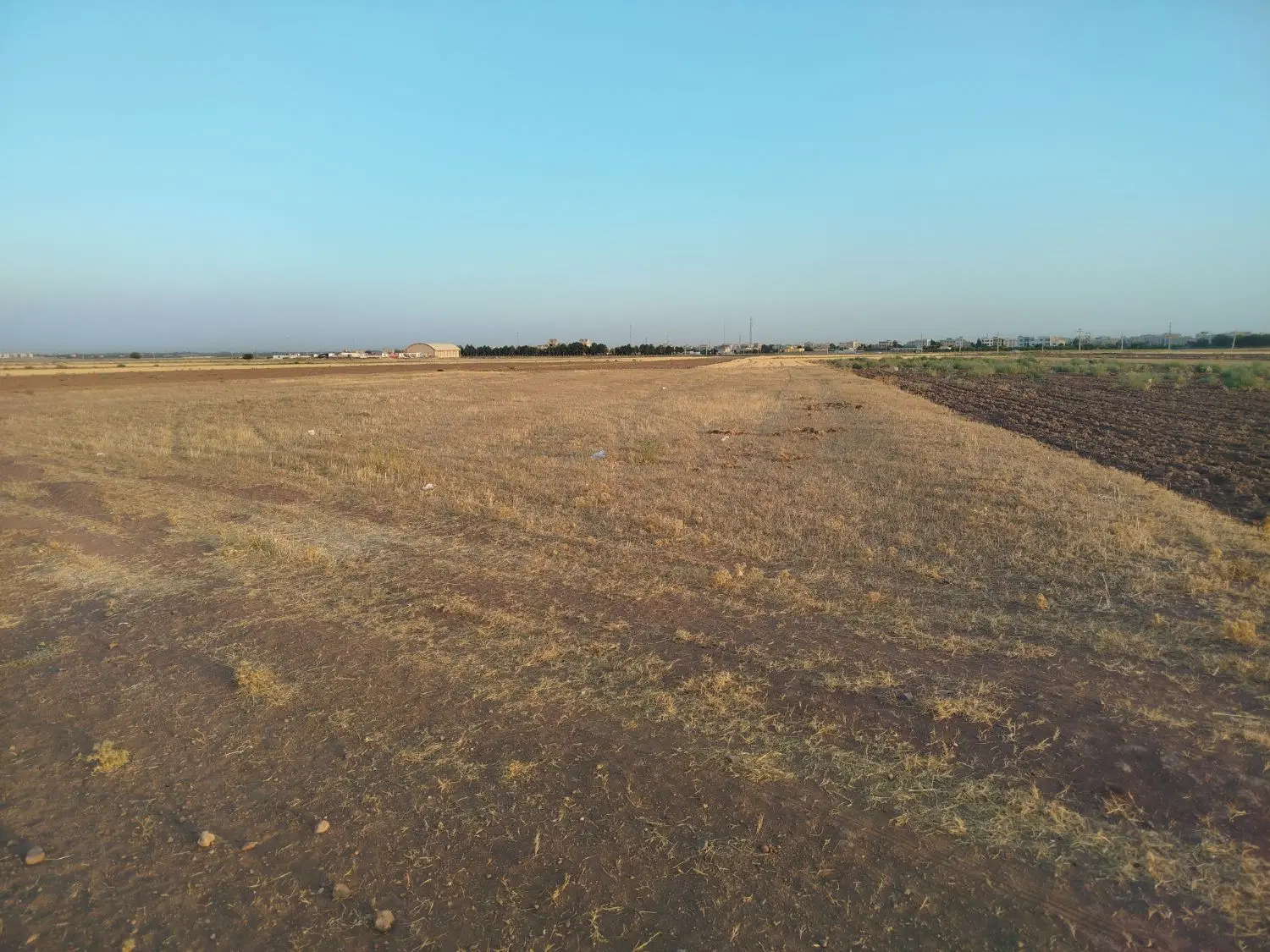 زمین کشاورزی محمودآبادنمونه