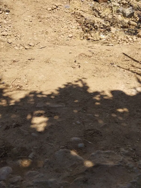 زمین کلستان سه چاه 1000متری با دیوار و آب