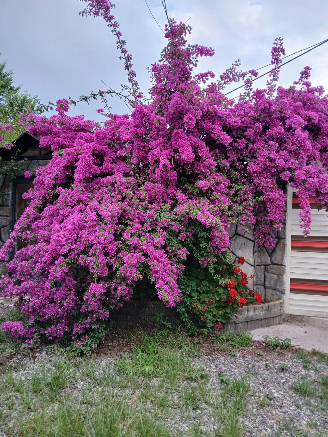 فروش ویلا در روستای از توابع خشکبیجار