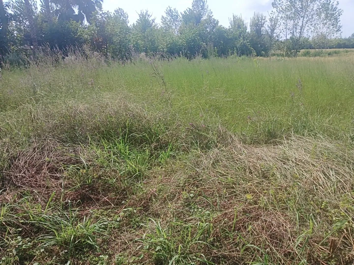 خونه محوطه به همراه زمین زراعی