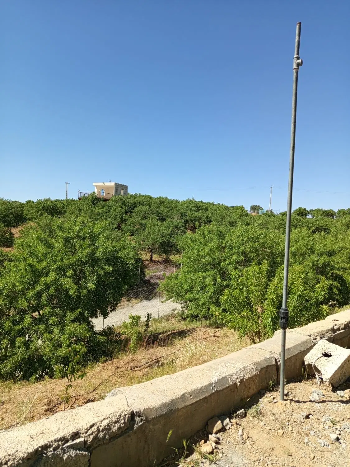 باغ بادام