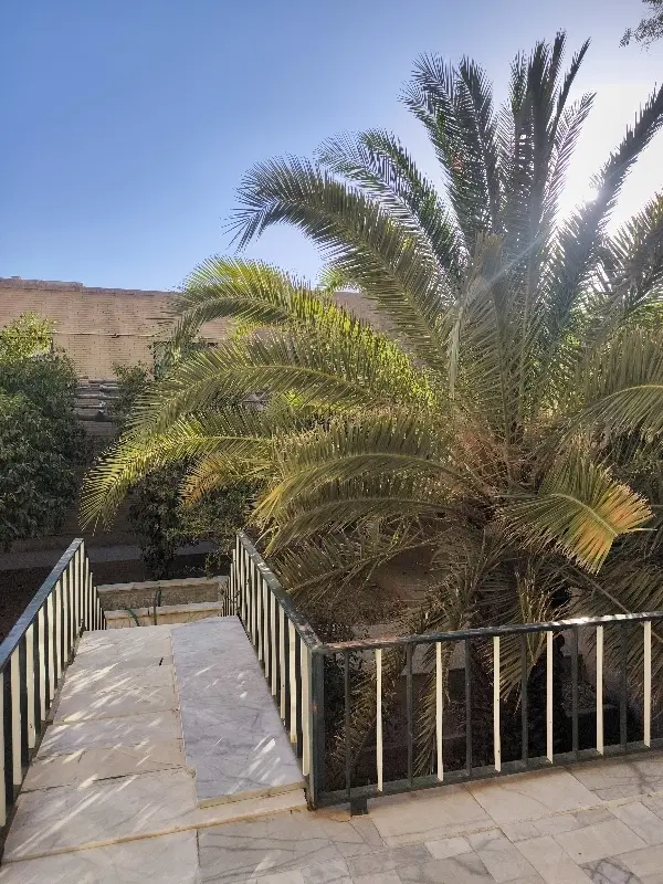 تهاتر زمین فهرج مناسب گلخانه وپرورش شترمرغ