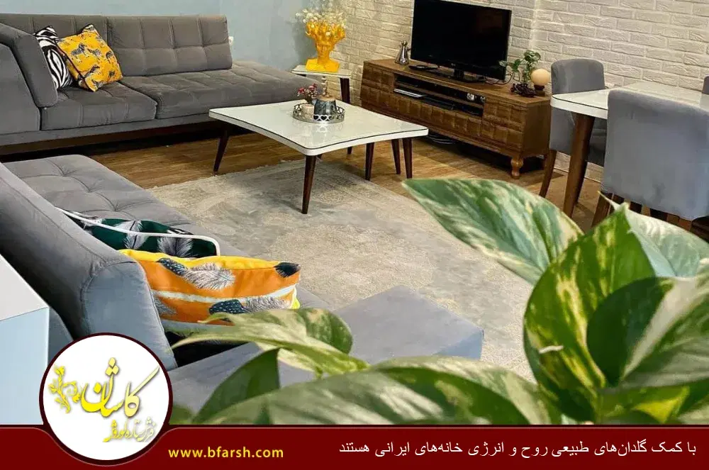 همخونه میخوام خونه ندارم