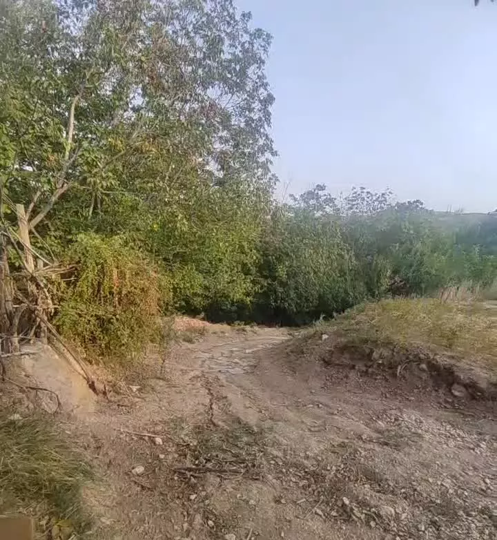 فروش باغ