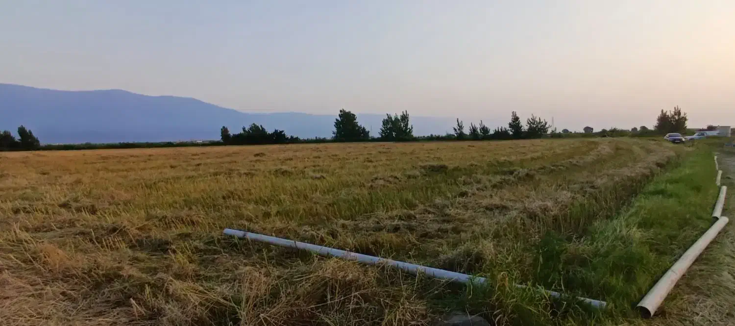زمین کشاورزی روستای حاجی آباد
