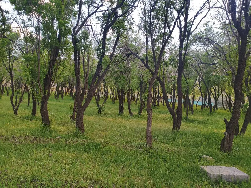 زمین باغ _ سرمایه گذاری مطمئن_