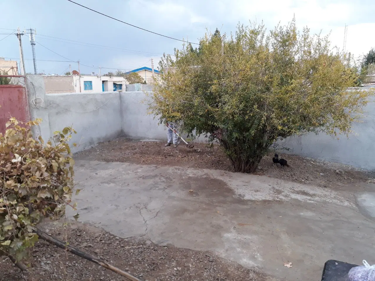 حدود ۲۸۰ متر در شهرستان درگز