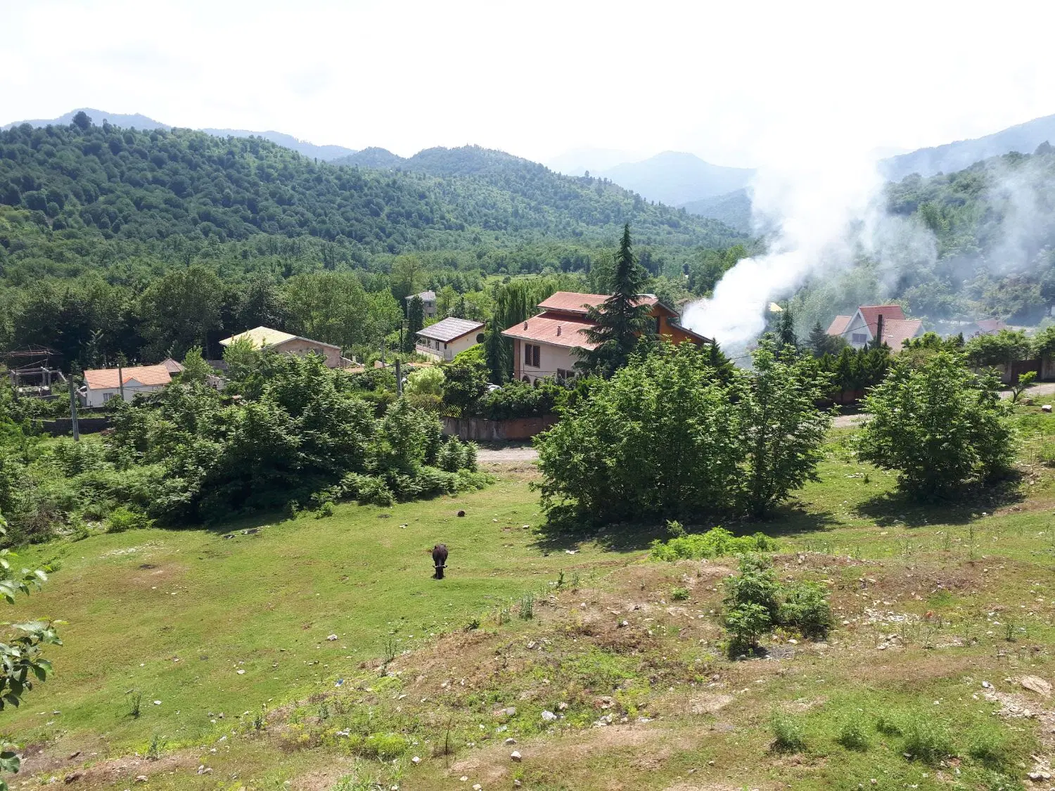 اجاره زمین کشاورزی