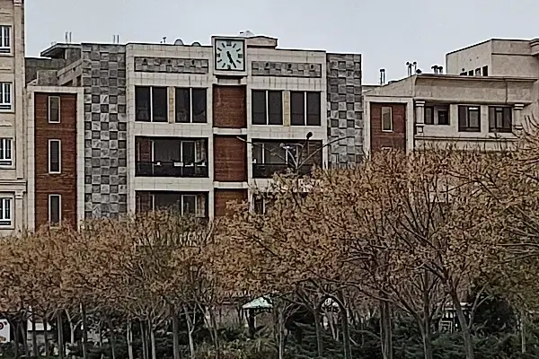 هم خانه خانم
