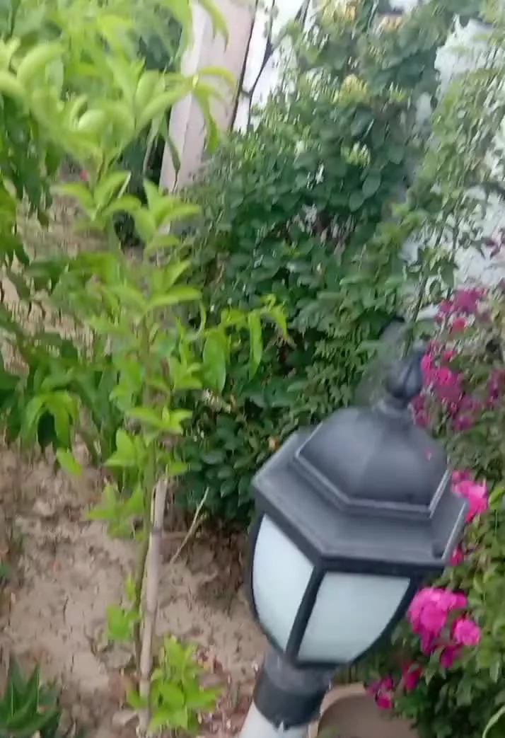 ویلا ۵۰۰متری سندتک برگ عرصه وعیان باغچه
