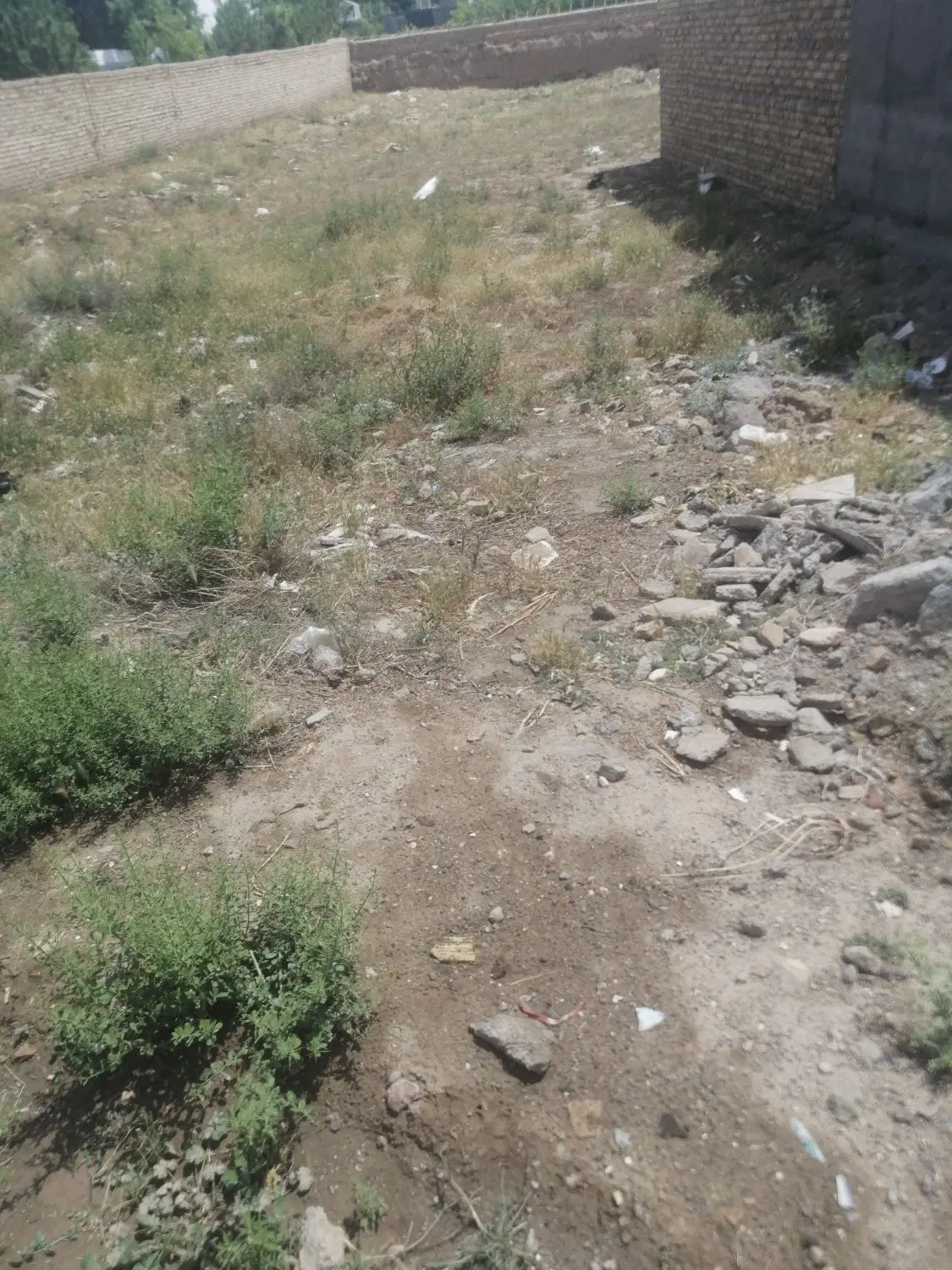 زمین ساختمانی تربت حیدریه روستای حاجیار