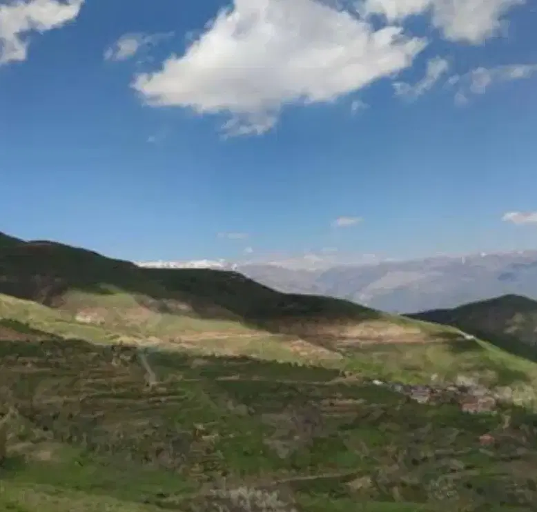 باغچه ۷۰۰ متری روستای زرشک دریابک