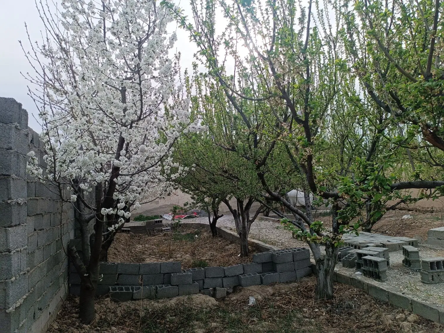 باغچه 4دیوار شهریار ملارد