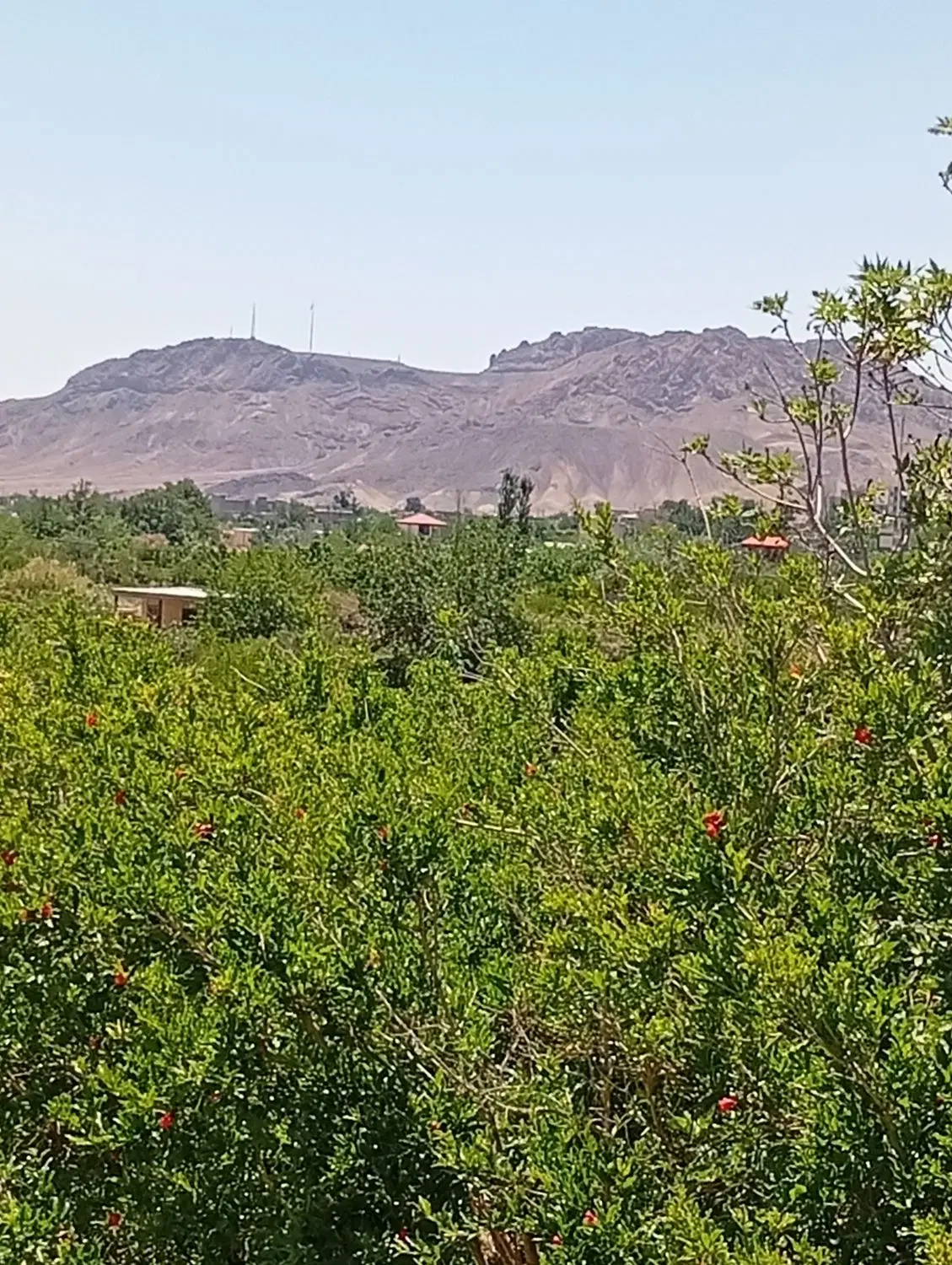 زمین مسکونی