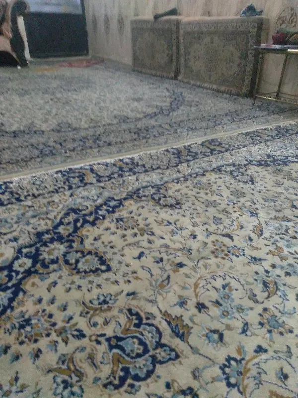 همخونه
