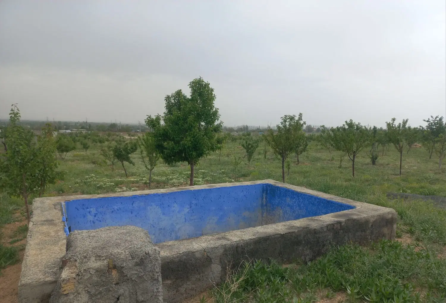 باغ ۵۰۰متری اراک