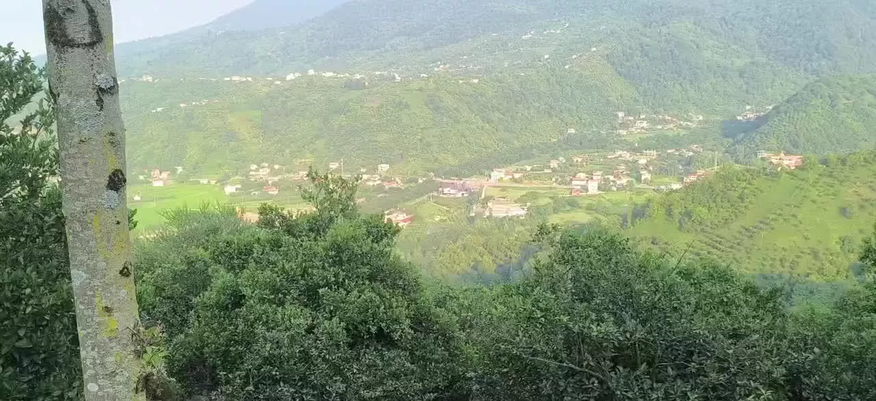 فروش زمین