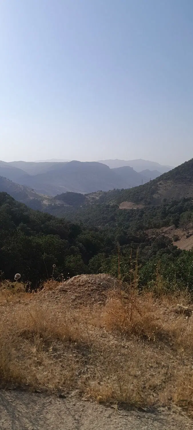زمین کارگاهی یا دامداری داری