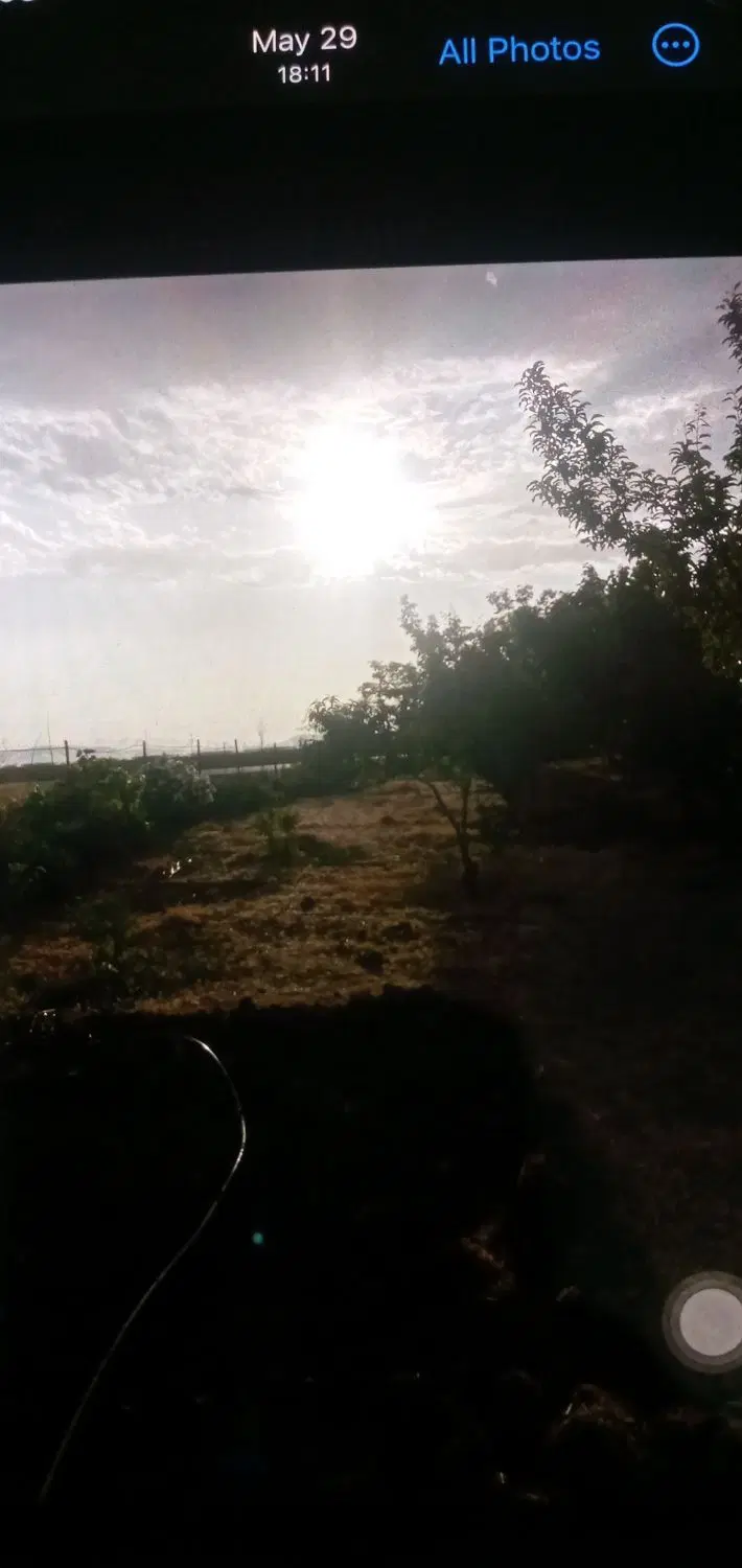 زمین ۱۰۰۰ متری