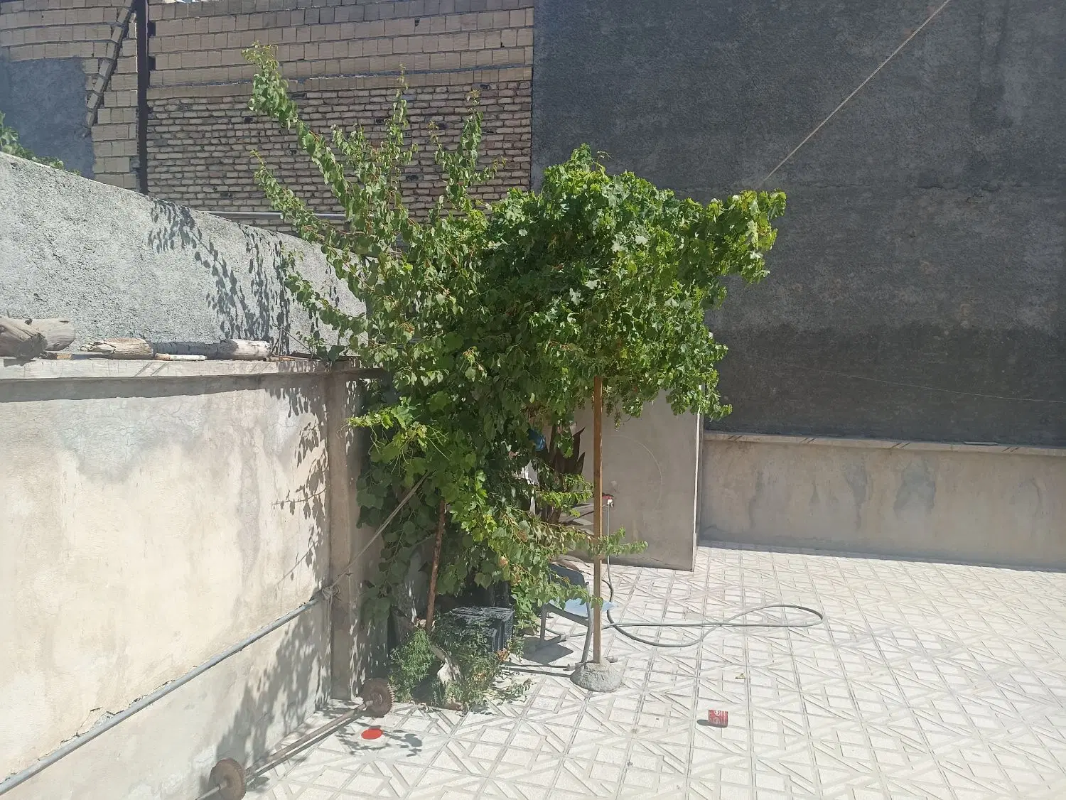 خانه 200 متری در رودکی
