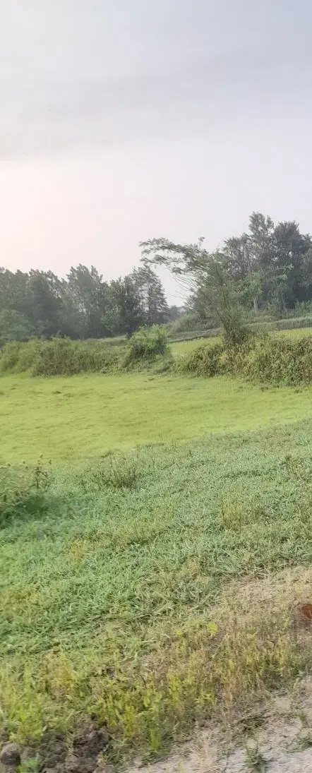 زمین کاربری صنعتی