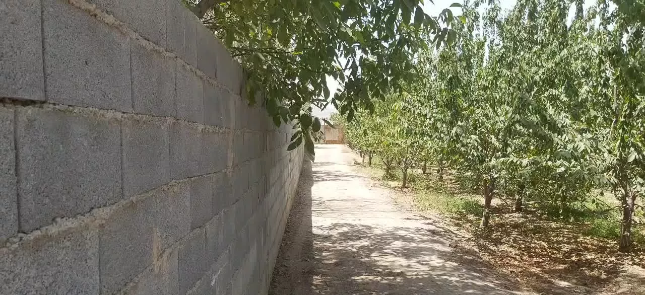 فروش باغ در آغچه بدی