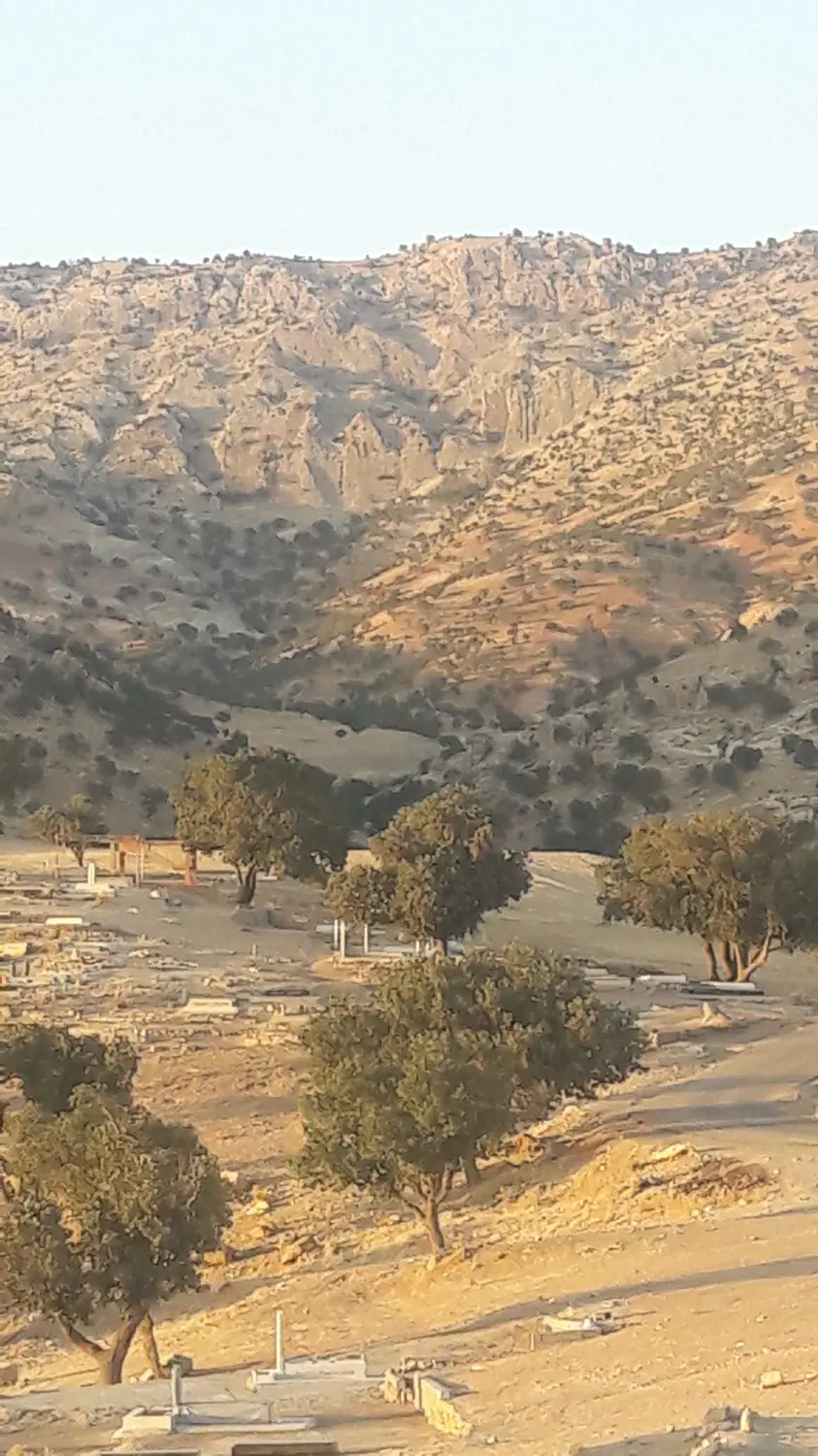 زمین کوی پاسداران
