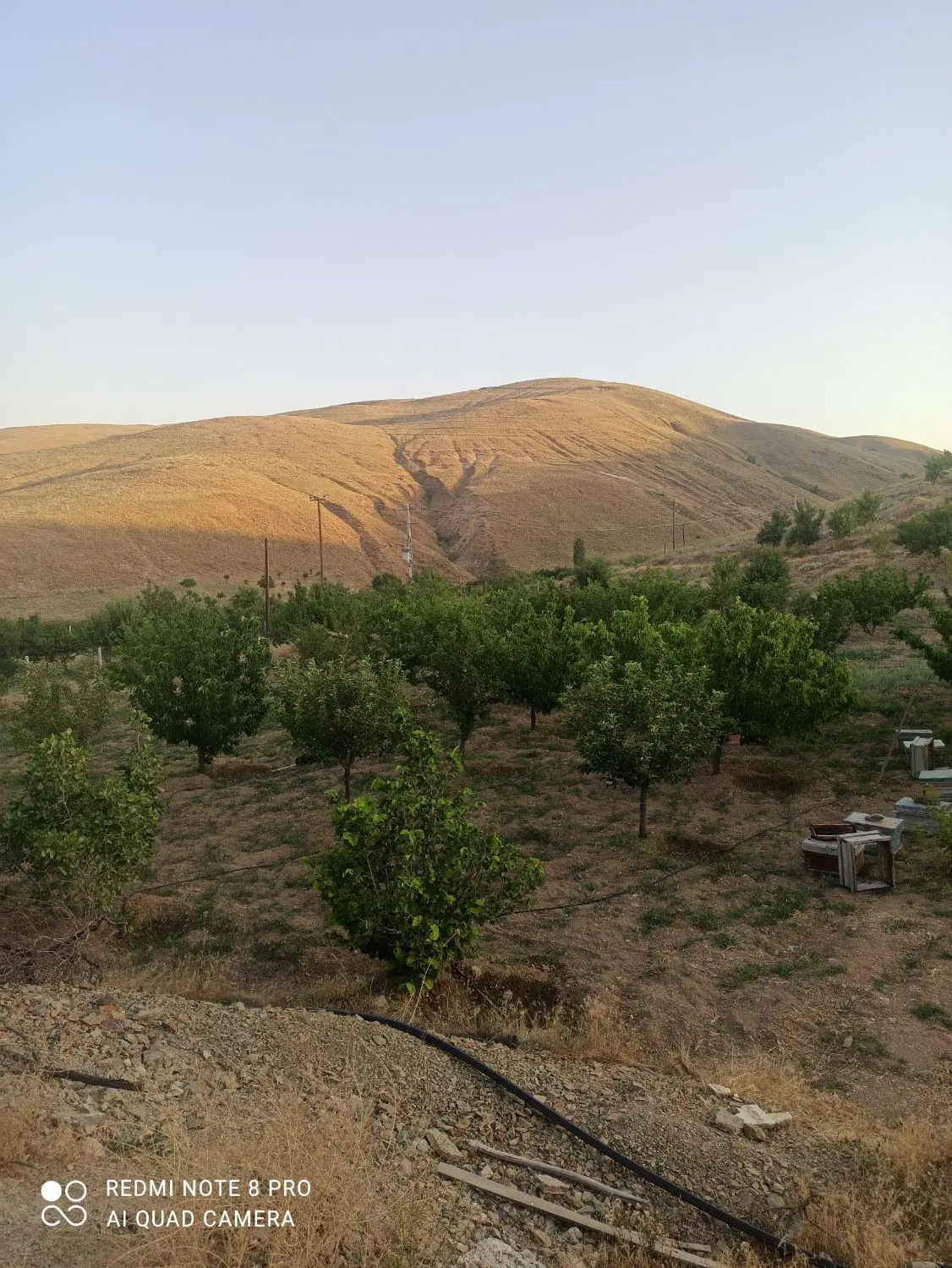 فروش باغ