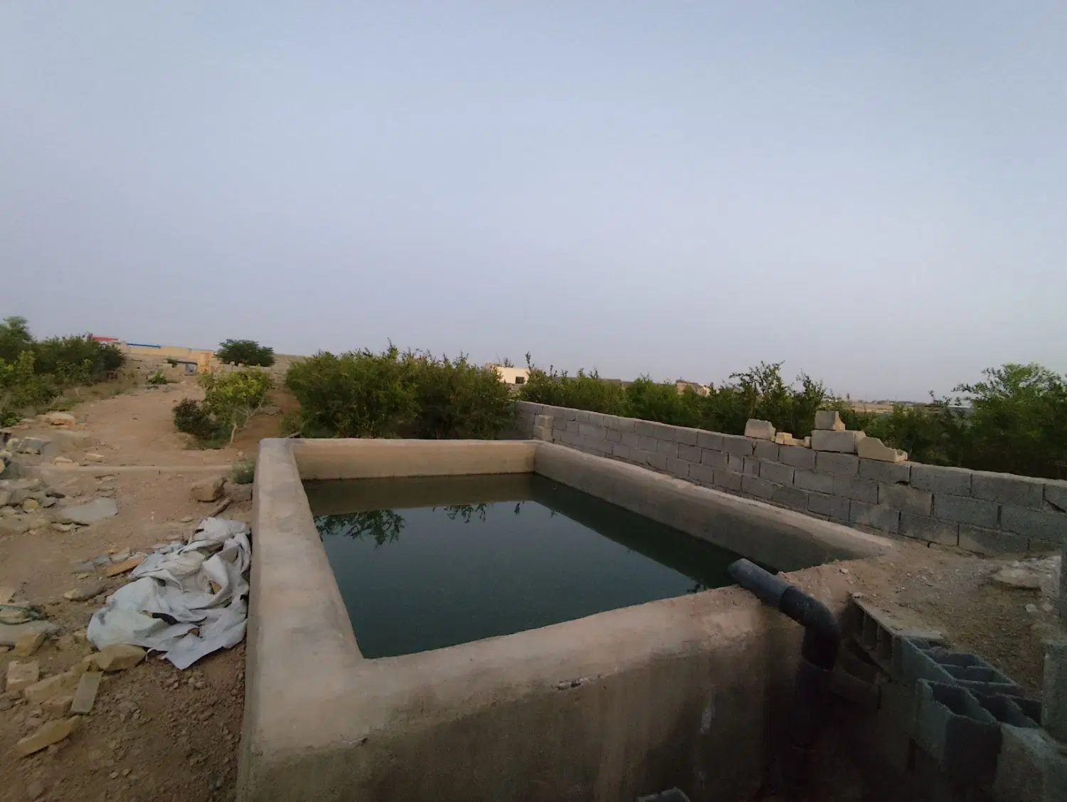 باغ