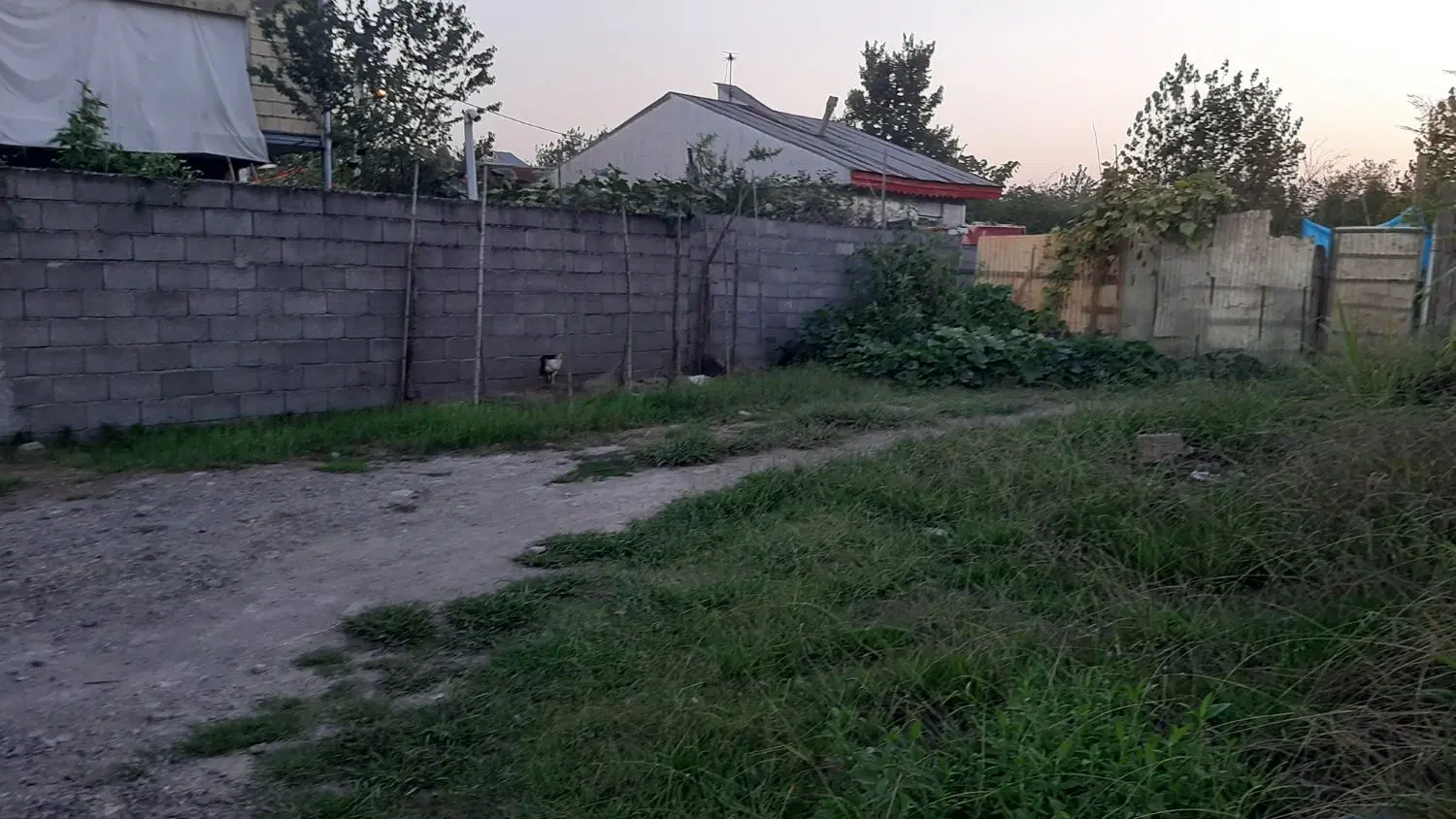 ۱۱۸ متر زمین مفید با کوچه ۸ متری