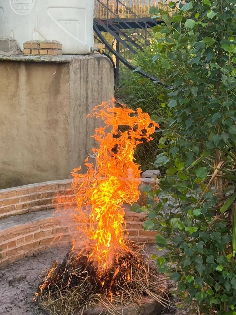 باغ شموشک