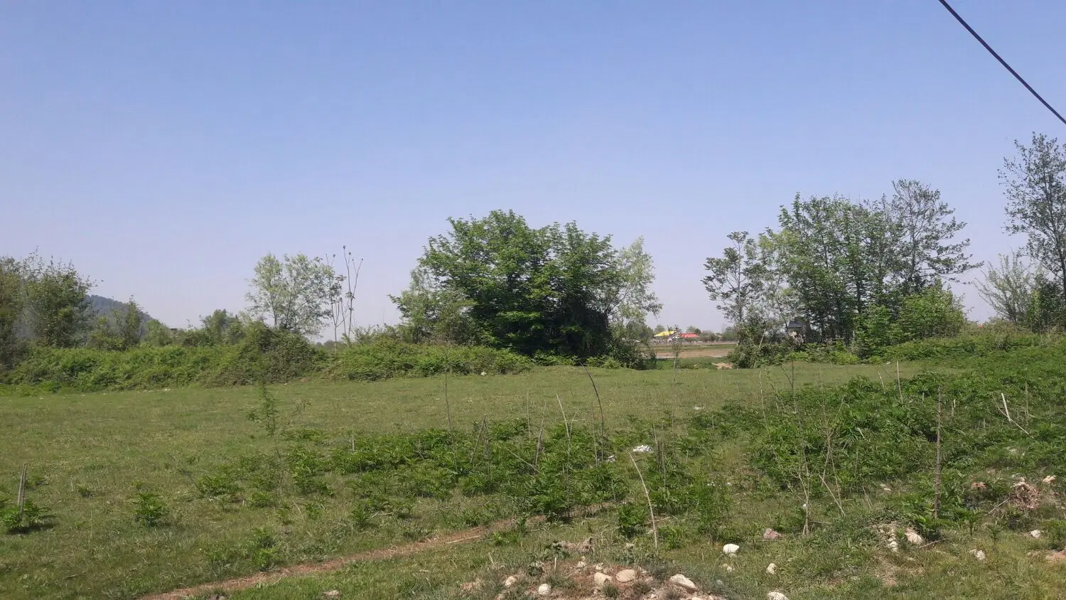 زمین مسکونی در ماسال