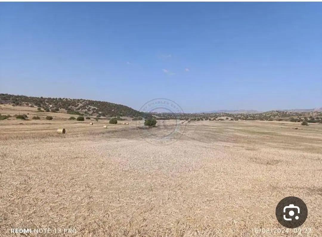 فروش زمین محمداباد خورموج