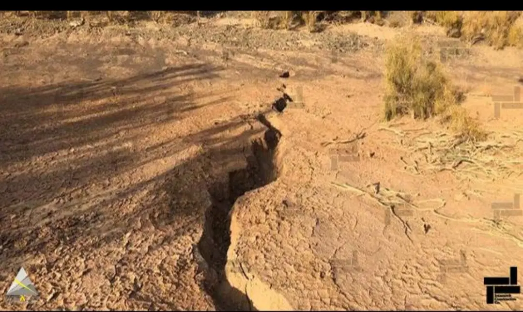 ۱۰۰۰ متر زمین دارم میدم اجاره