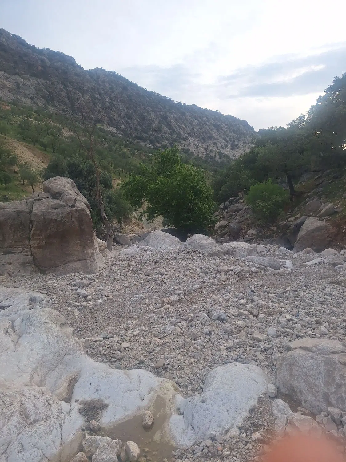 زمین 21جنوبی