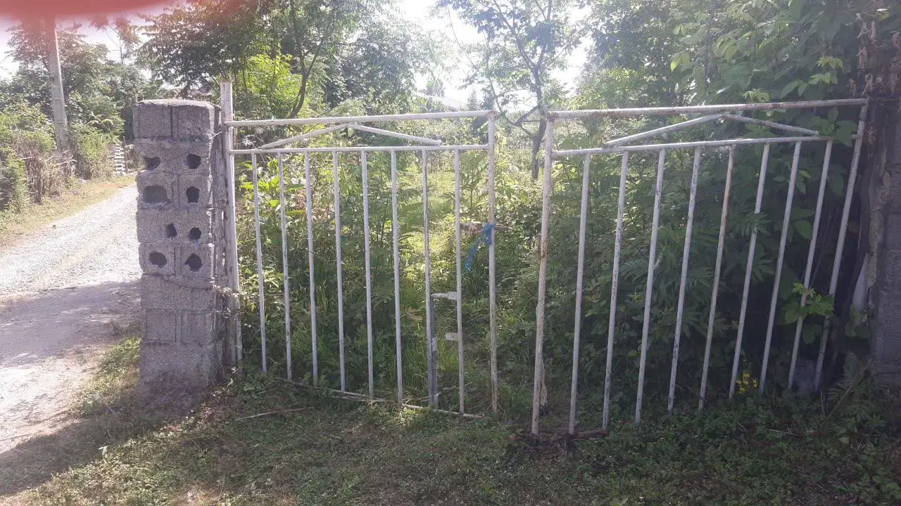 زمین نزدیک دریا