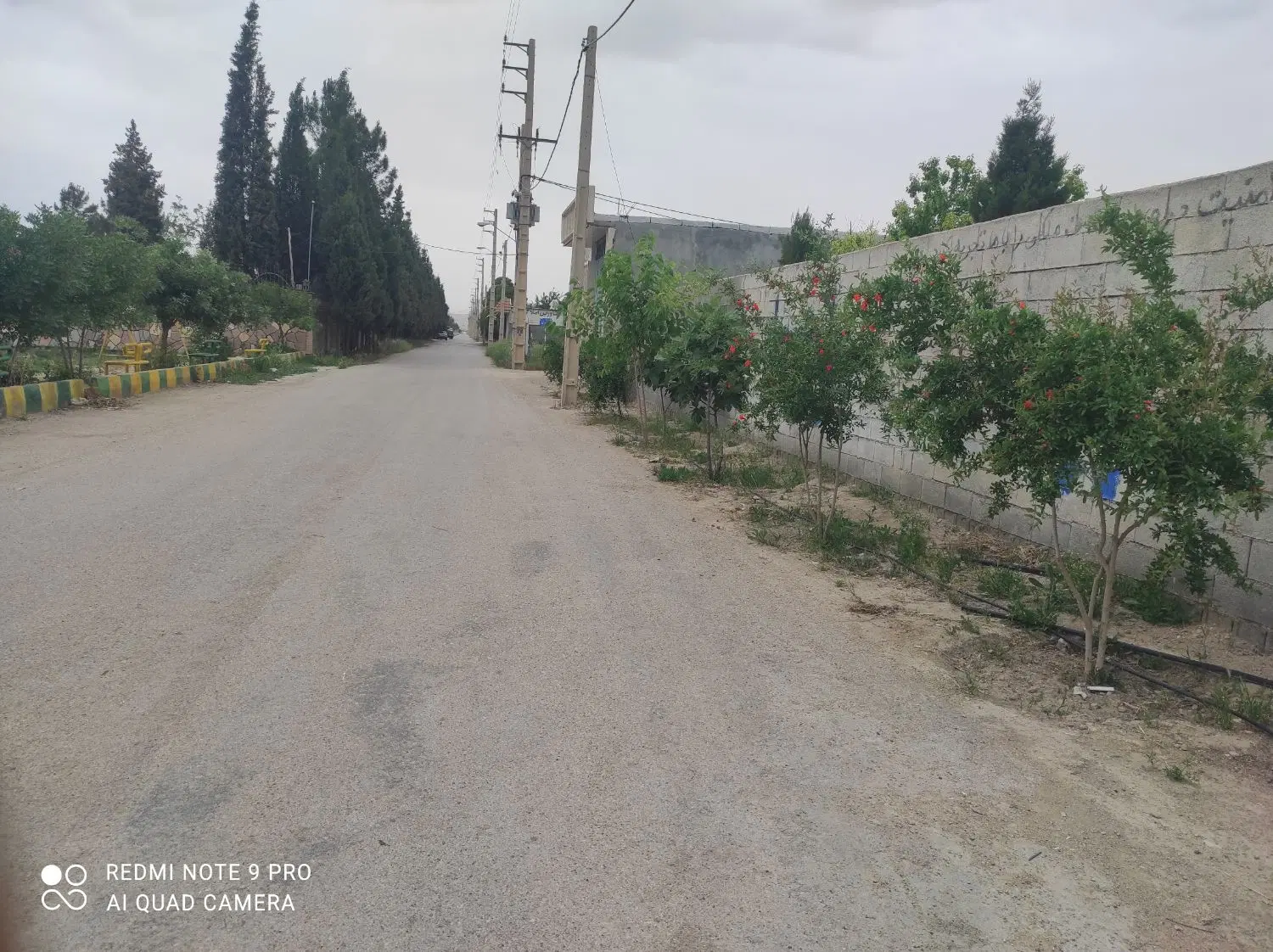 هزارمتر باغ شهری فدک روستای ظفرآباد برای فروش