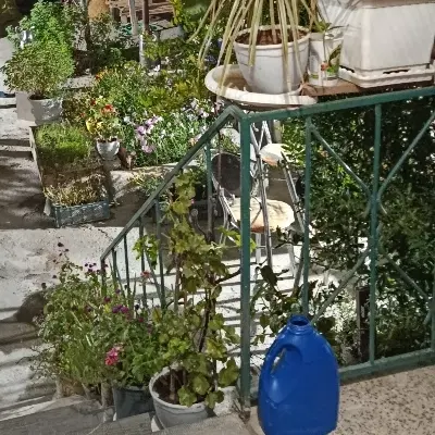 اجاره خانه تک خوابه خیابان البرز