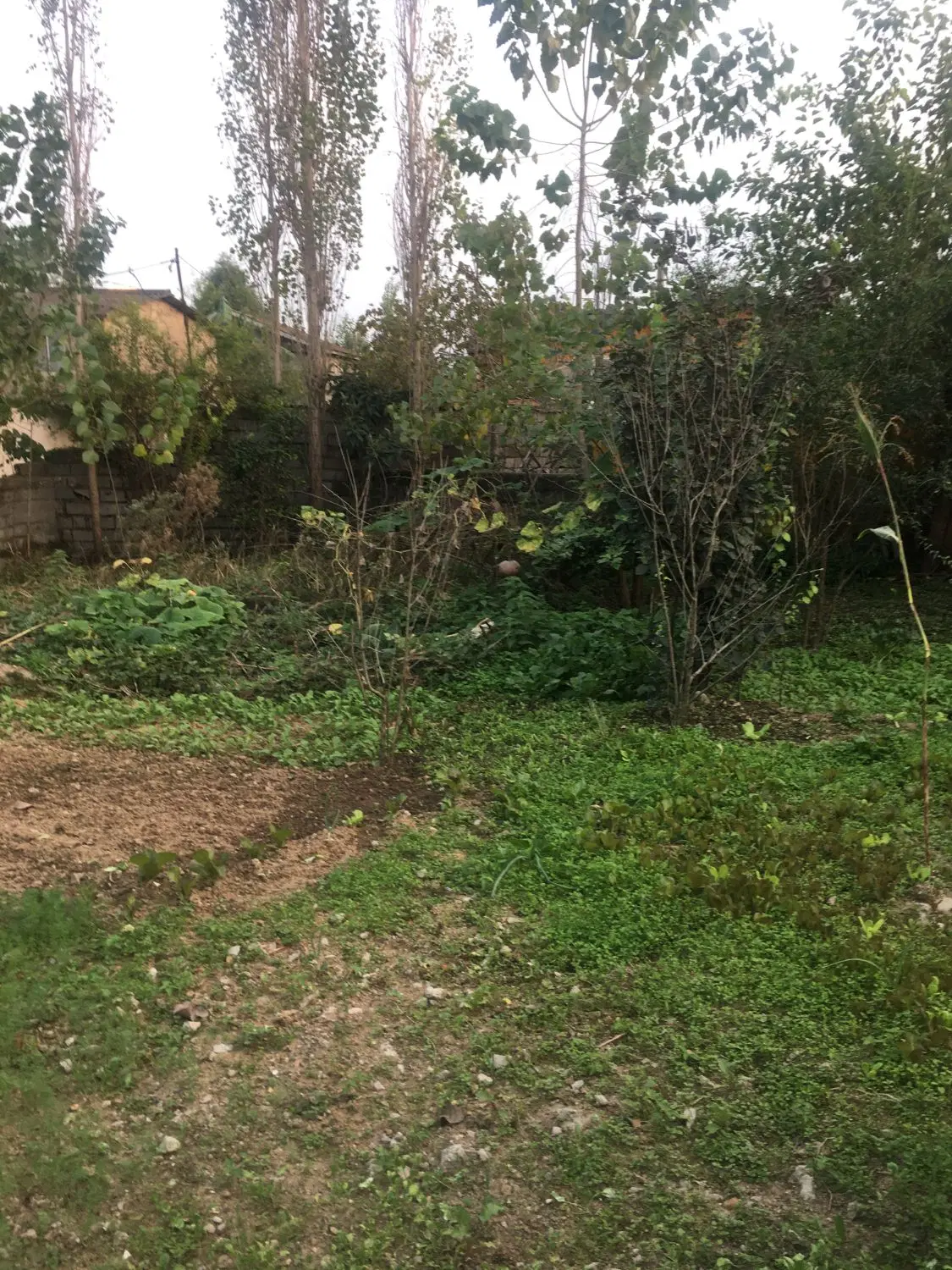 فروش زمین