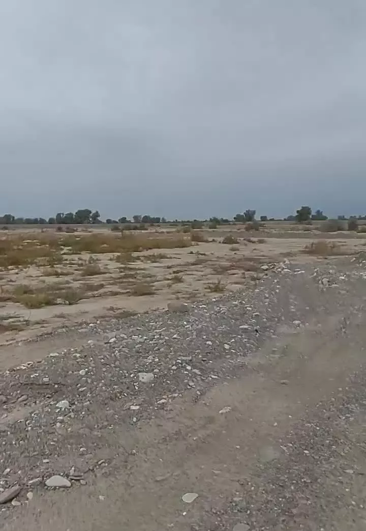 زمین ویلا باغی  مساحت ۲۶۳۰متر  در حاج خادمی میناب