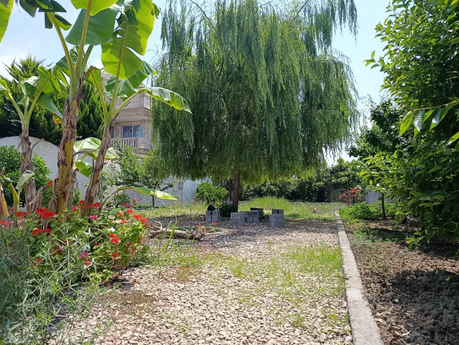 زمین فروشی جاده دریا ۲۵۰ متر