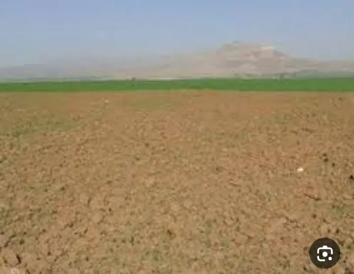 زمین دیم ۴ونیم جریب
